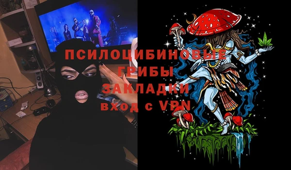 стаф Зеленодольск