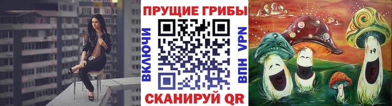 Купить закладки  Кашира  Галлюциногенные грибы MAGIC MUSHROOMS 